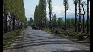 Задник к фильму "Поездка в Индию" #388719