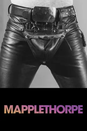 Постер к фильму "Мэпплторп" #665623