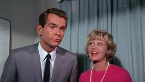 Задник к фильму "Эта дикая кошка" #401056