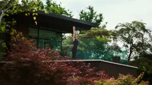 Задник к фильму "Бугония" #511633