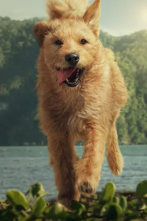 Постер к фильму "" #418308