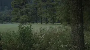 Задник к фильму "" #539083