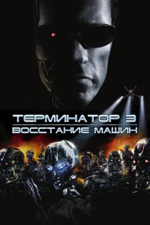 Постер к фильму "Терминатор 3: Восстание машин" #603919