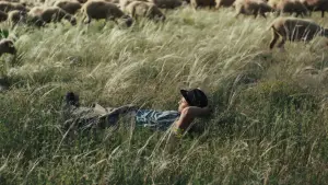 Задник к фильму "Пастухи" #684527