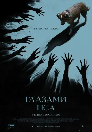 Постер к фильму "Хороший мальчик" #517401