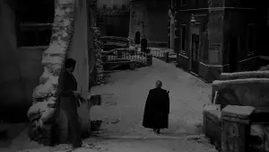 Задник к фильму "Белые ночи" #449790