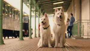 Задник к фильму "" #703498