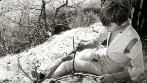 Задник к фильму "Белая грива: Дикая лошадь" #456583