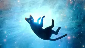 Задник к фильму "" #586574