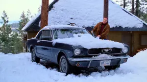 Задник к фильму "Мизери" #633046