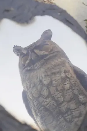 Постер к фильму "" #492128