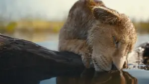 Задник к фильму "" #557077