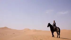 Задник к фильму "Мулан" #215629