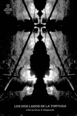 Постер к фильму "Los dos lados de la tortuga"