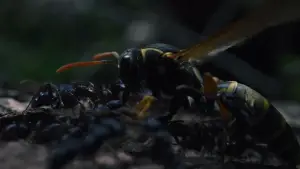 Задник к фильму "" #589240