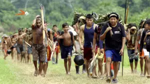 Задник к фильму "" #698602