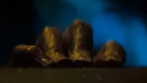 Задник к фильму "Чужой" #548900