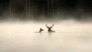 Задник к фильму "" #534610