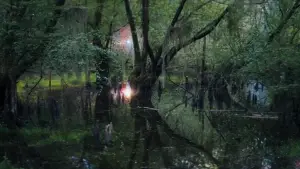 Задник к фильму "Аннигиляция" #618586