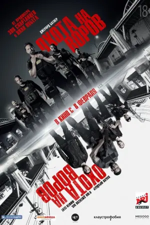 Постер к фильму "Охота на воров" #46125