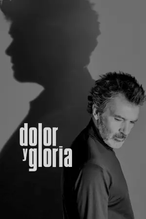 Постер к фильму "Боль и слава" #380648