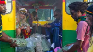 Задник к фильму "Пляжный бездельник" #420811