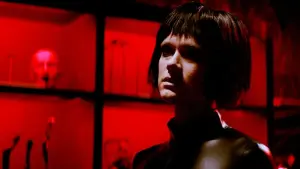 Задник к фильму "Собаки не носят штанов" #436431