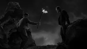 Задник к фильму "Франкенштейн" #641076