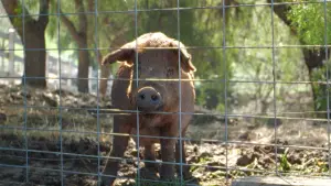 Задник к фильму "" #478445