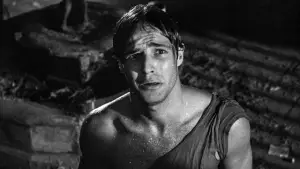 Задник к фильму "Трамвай «Желание»" #726930