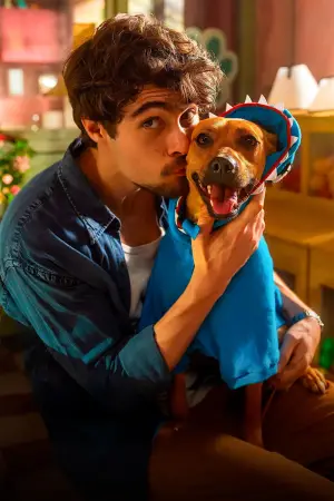 Постер к фильму "Карамело" #559524