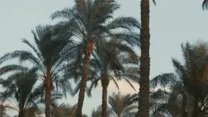 Задник к фильму "" #427323