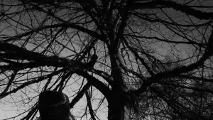 Задник к фильму "Тело Дженнифер" #664212