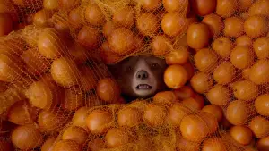 Задник к фильму "Приключения Паддингтона 2" #643924