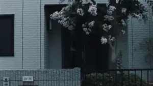 Задник к фильму "" #525426