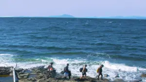 Задник к фильму "" #491596