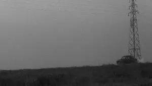 Задник к фильму "Рождённый убивать" #763847