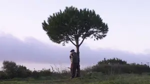 Задник к фильму "" #569255