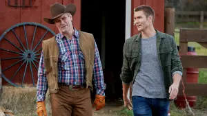 Задник к фильму "Цвета любви" #441799