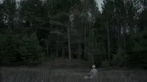 Задник к фильму "Ведьма" #600292