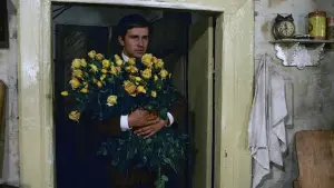 Задник к фильму "Знахарь" #452199