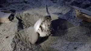 Задник к фильму "Дрожь земли" #255650