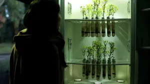 Задник к фильму "" #378375