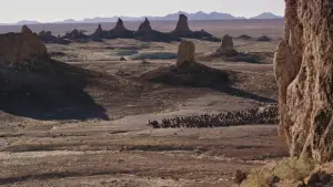 Задник к фильму "Планета обезьян: Война" #585964