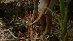 Задник к фильму "Невеста дьявола" #703282