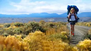 Задник к фильму "Дикая" #245796