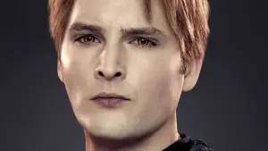 Задник к фильму "Сумерки. Сага: Рассвет — Часть 2" #525538