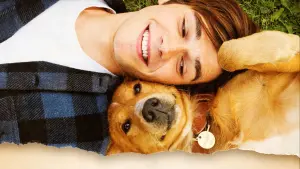 Задник к фильму "Собачья жизнь" #204535