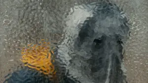 Задник к фильму "Облако" #596314