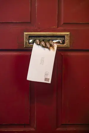 Постер к фильму "Бюро магических услуг" #326869